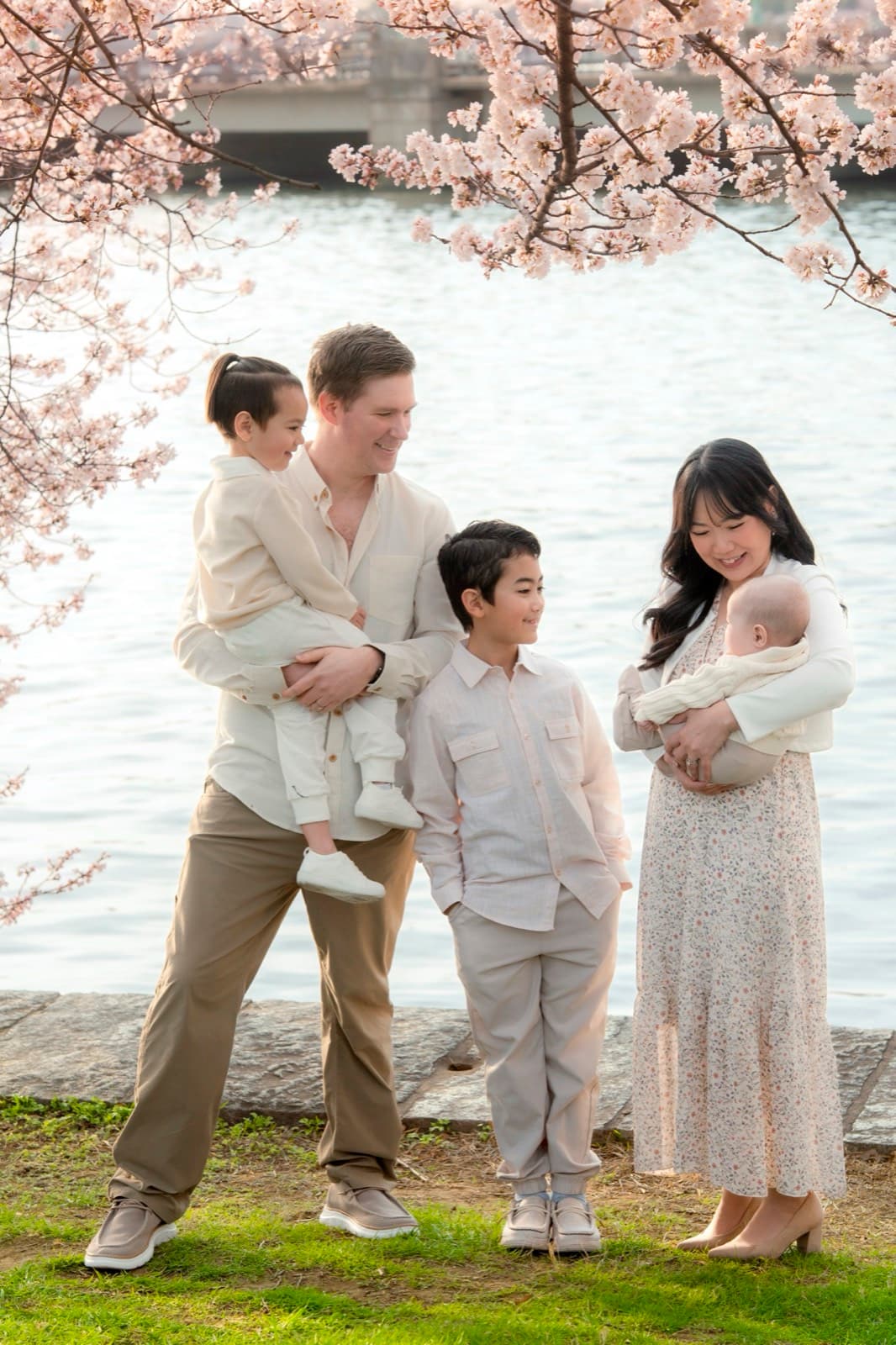 Family session at cherry blossoms, Washington DC