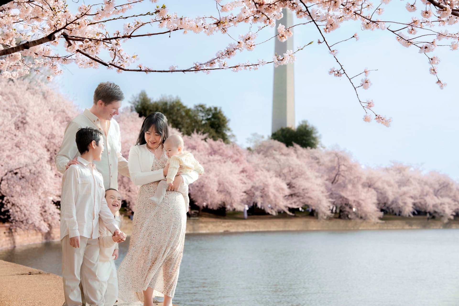 Family session at cherry blossoms, Washington DC