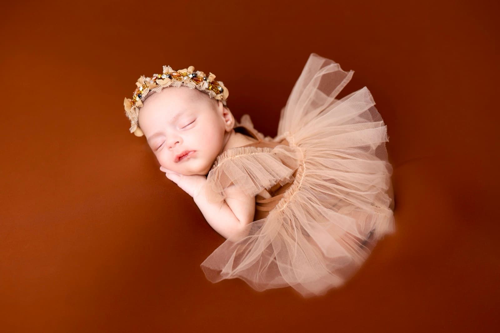 Newborns photography by Ashley San
