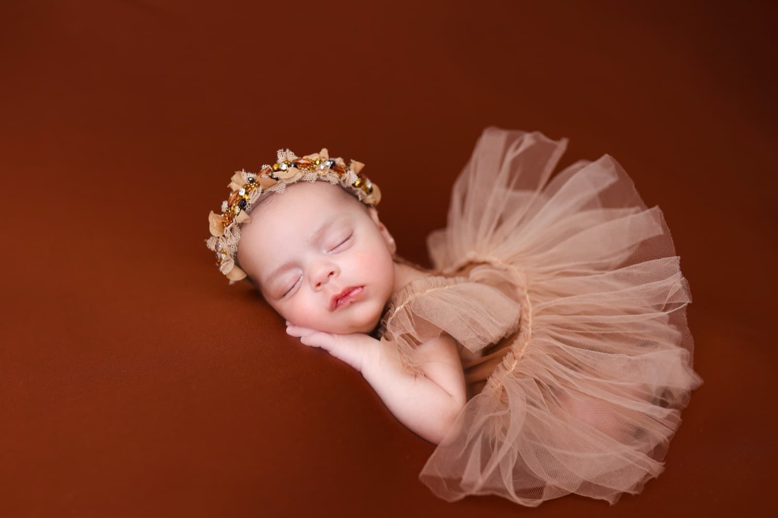 Newborns photography by Ashley San