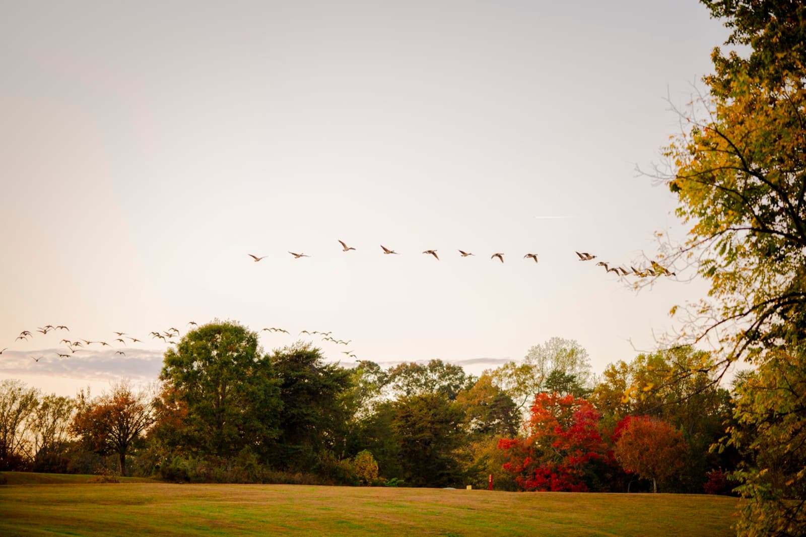 Personal Work photography by Ashley San