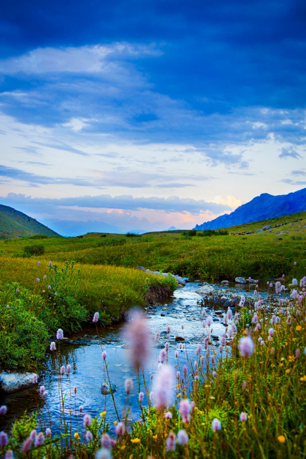Personal Work photography by Ashley San