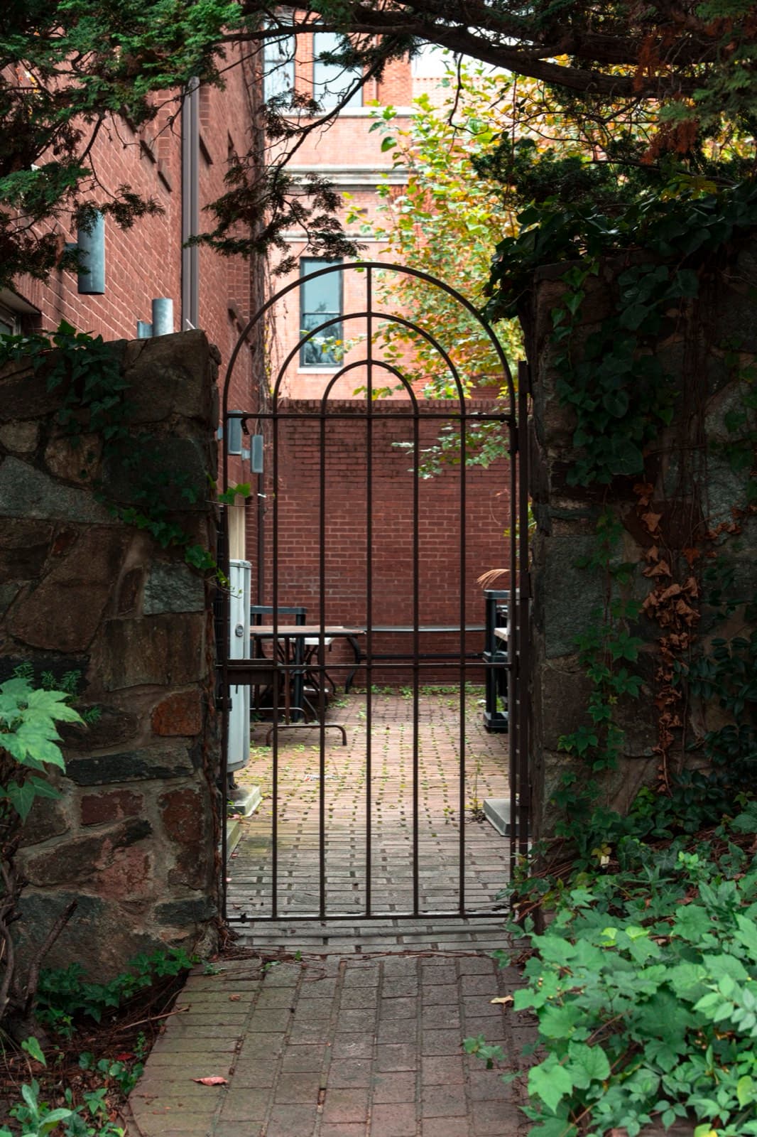 Personal Work photography by Ashley San