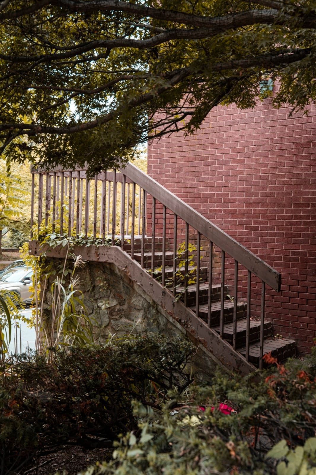 Personal Work photography by Ashley San