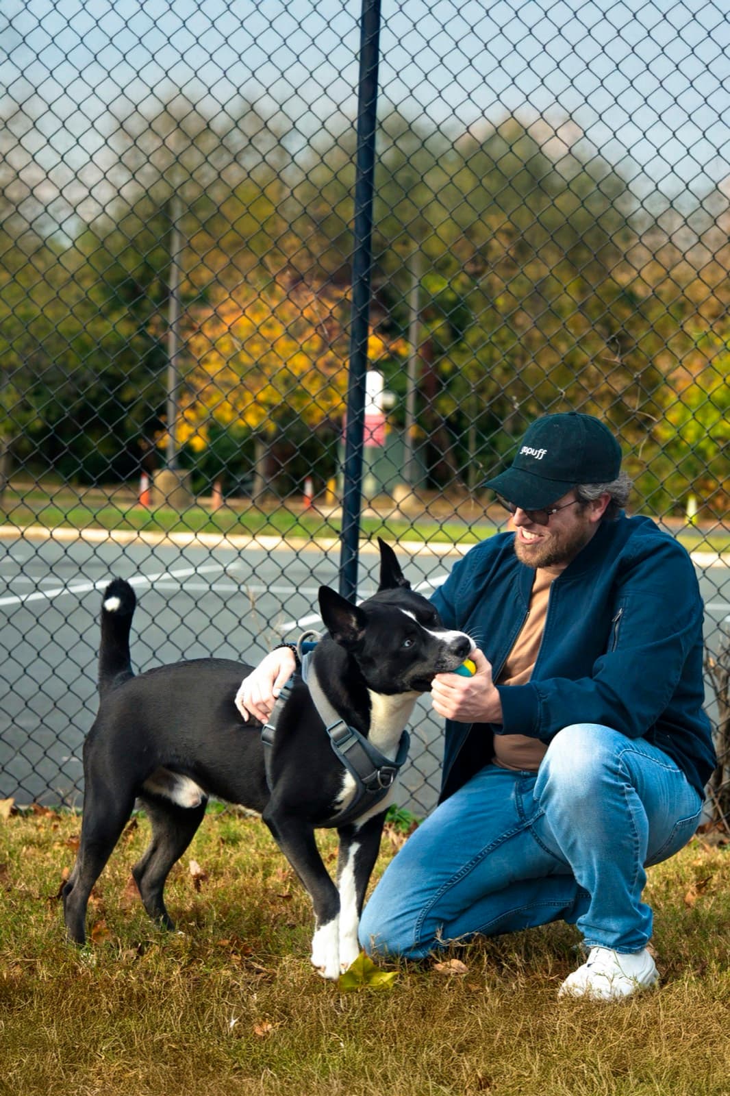Pets photography by Ashley San